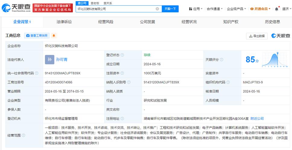 聚焦技术研发与电子产品 一千万美元注册资本企业的战略定位与发展路径